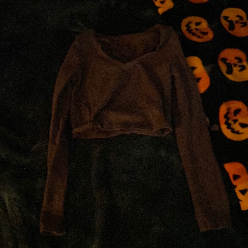 Dark brown long sleeve crop top